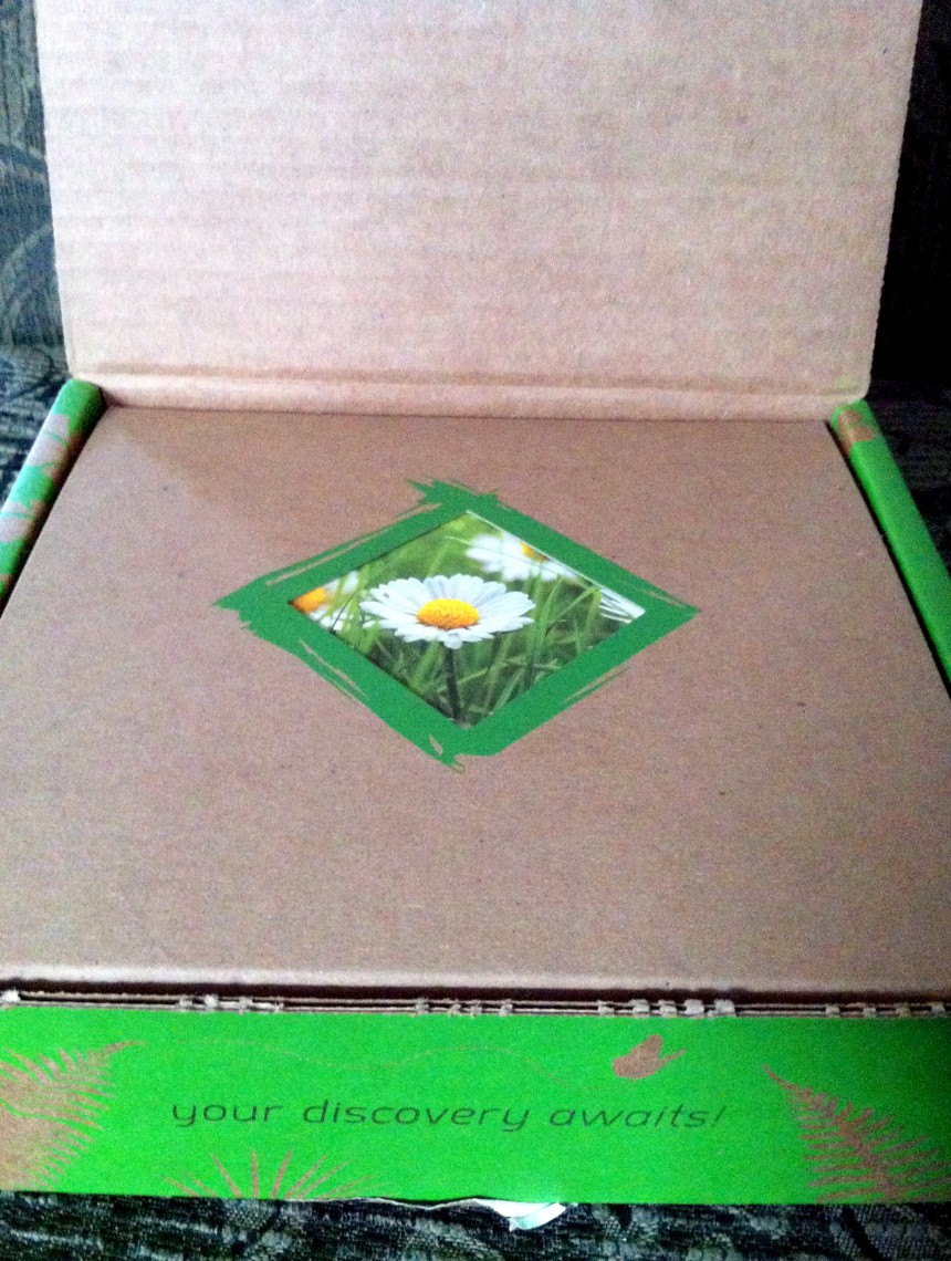 The box.