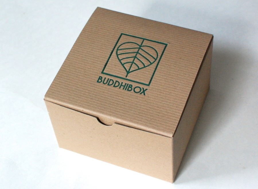 BuddhiBox November 2014