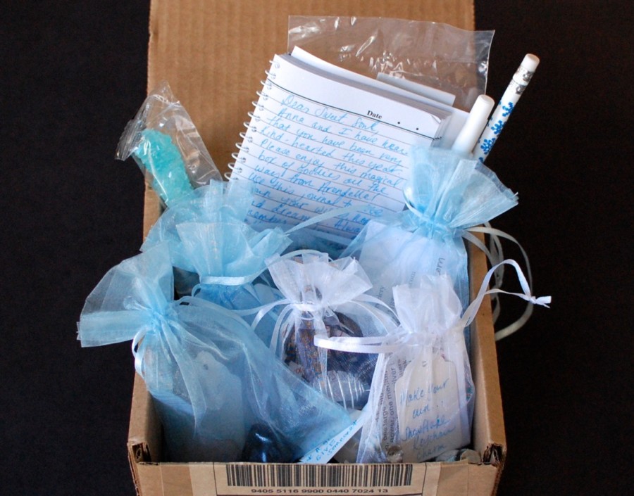 Sapphire Soul Frozen inspired holiday box 2014