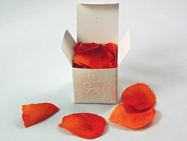 rose petals