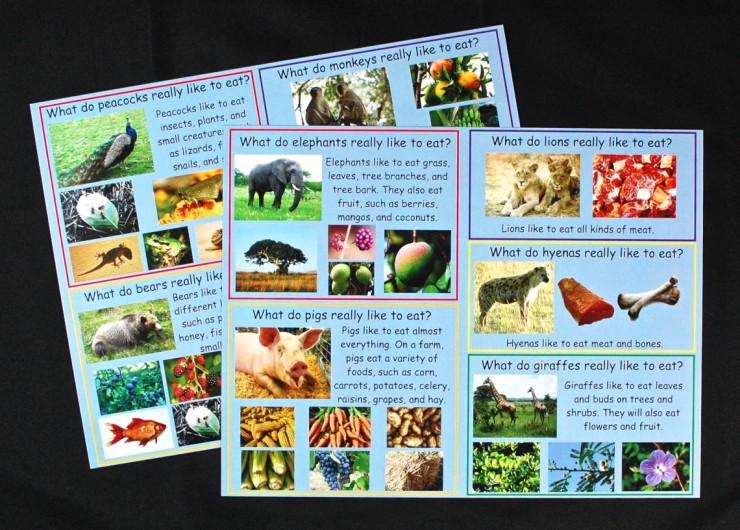 animal facts