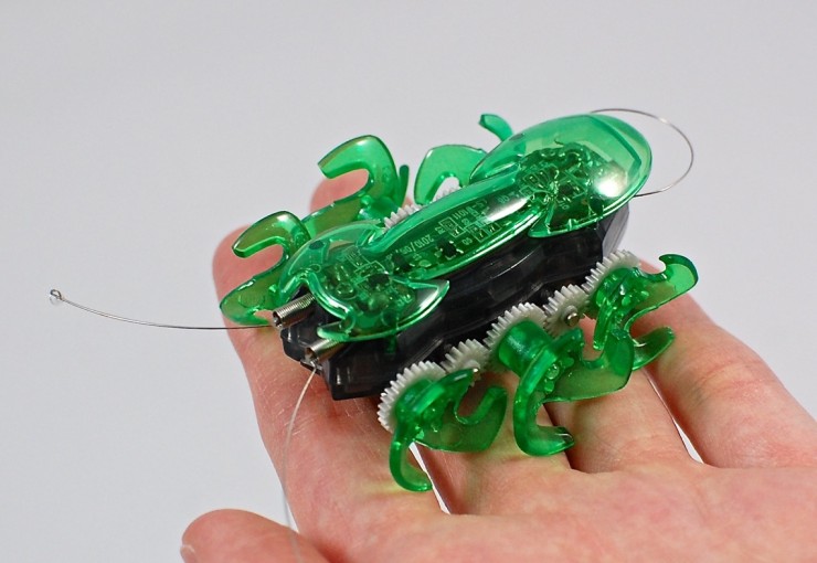 Hexbug ant
