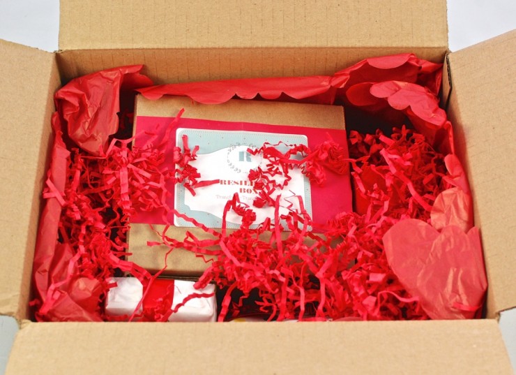 Resilience box