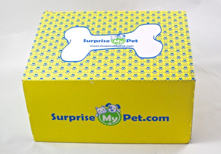 Surprise My Pet box