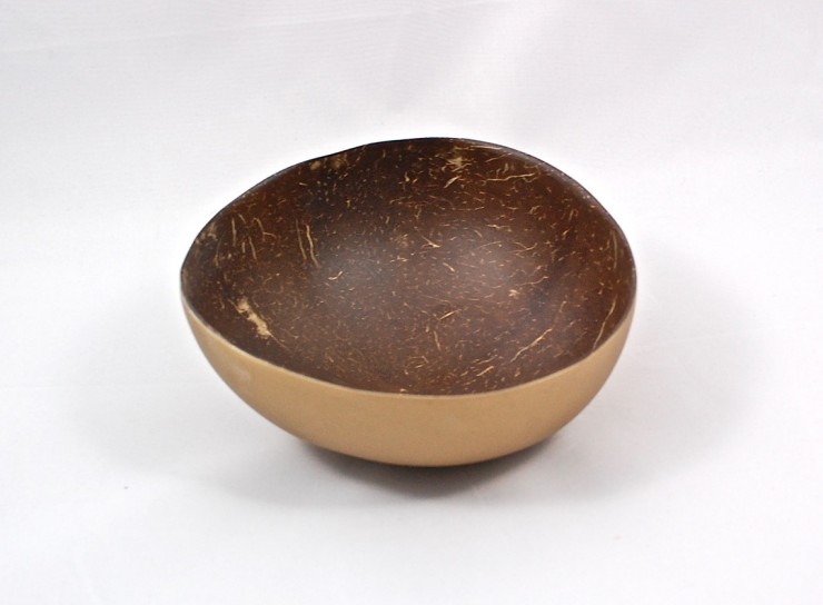 coconut shell bowl