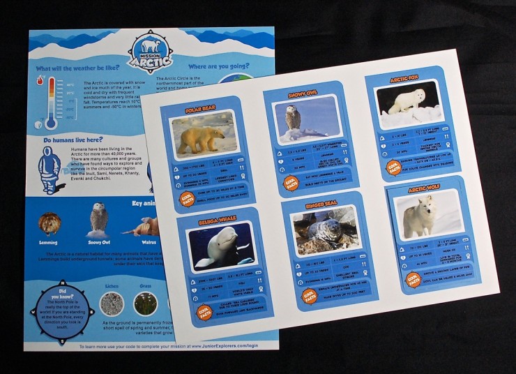 Junior Explorers Arctic