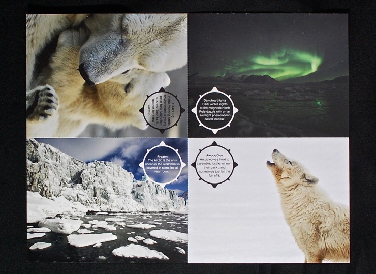 Junior Explorers postcards