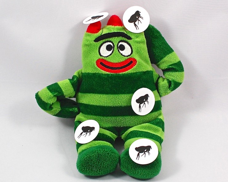fleas