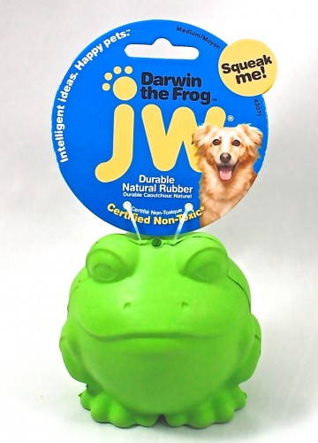 Darwin the frog dog toy