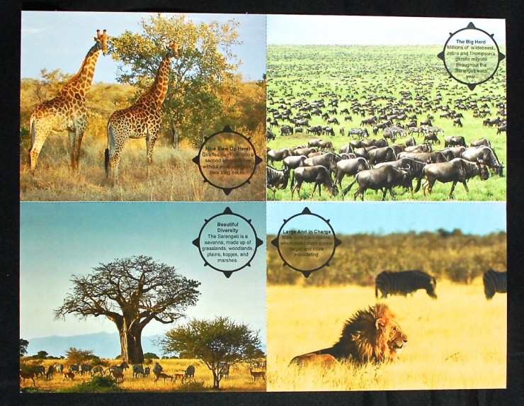 Junior Explorers postcards