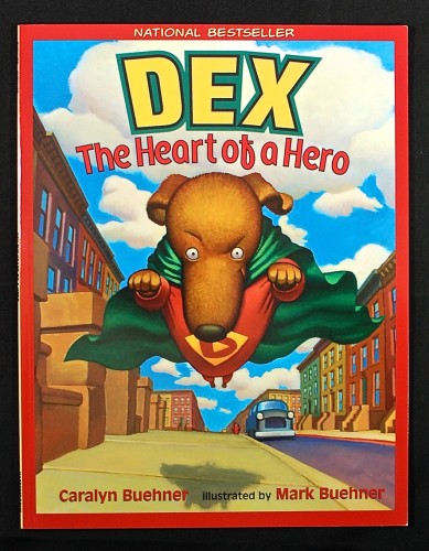 Dex Heart of a Hero book