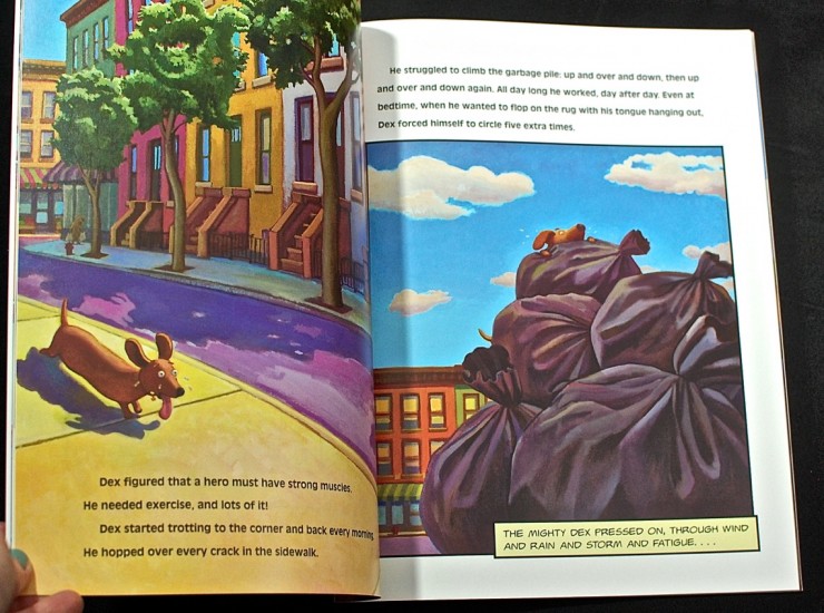 Dex Heart of a Hero book