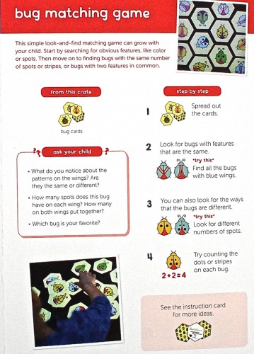 Koala Crate bug matching game