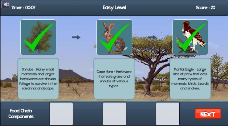 Junior Explorers food chain game