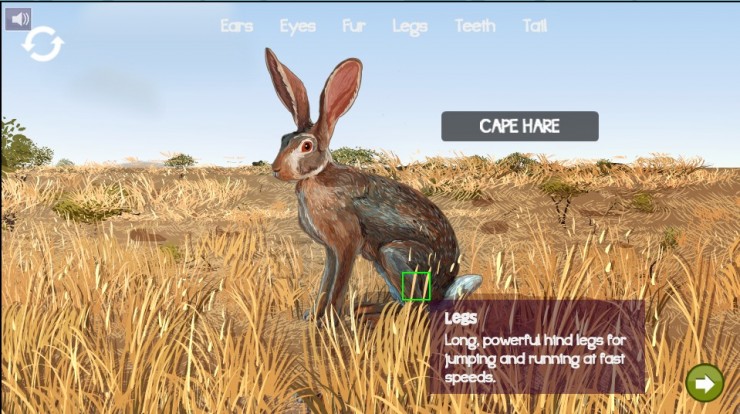 Junior Explorers online content