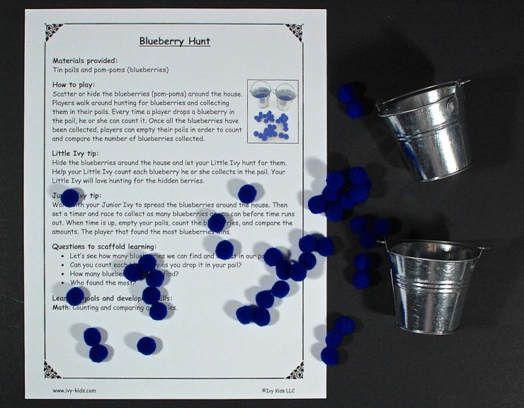 blueberry hunt