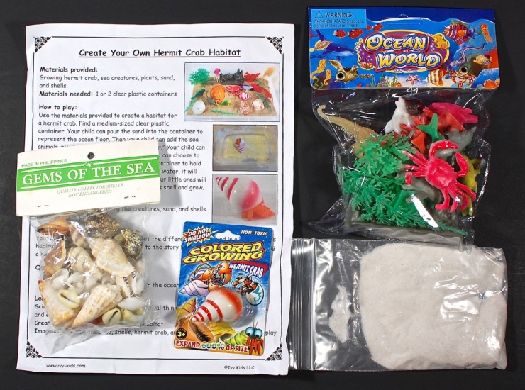 Hermit Crab habitat