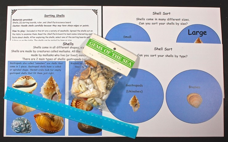sorting shells