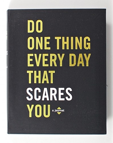 Do One Thing Every Day that Scares You 