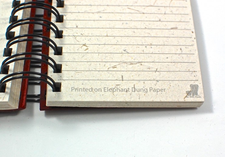 Pooh paper