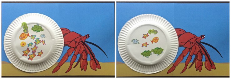 decorated hermit crabs