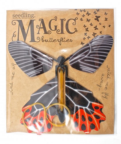 magic butterfly