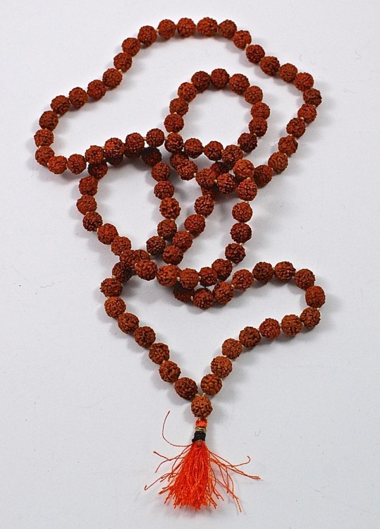 rudraksha