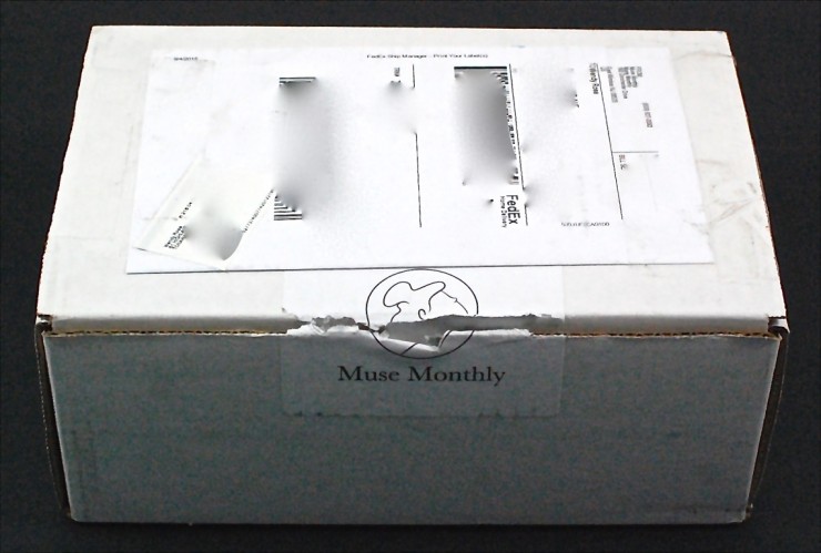Muse Monthly box