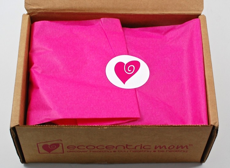 Ecocentric Mom review