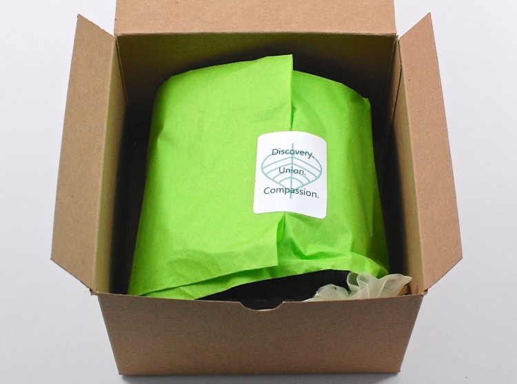 BuddhiBox August