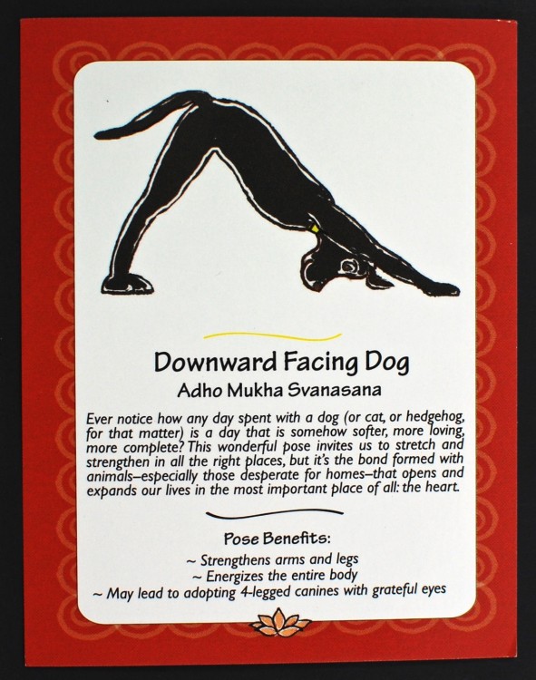 yogi pose