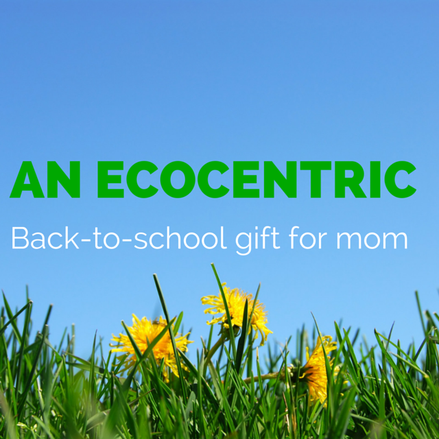 Ecocentric mom free box