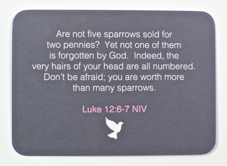 scripture