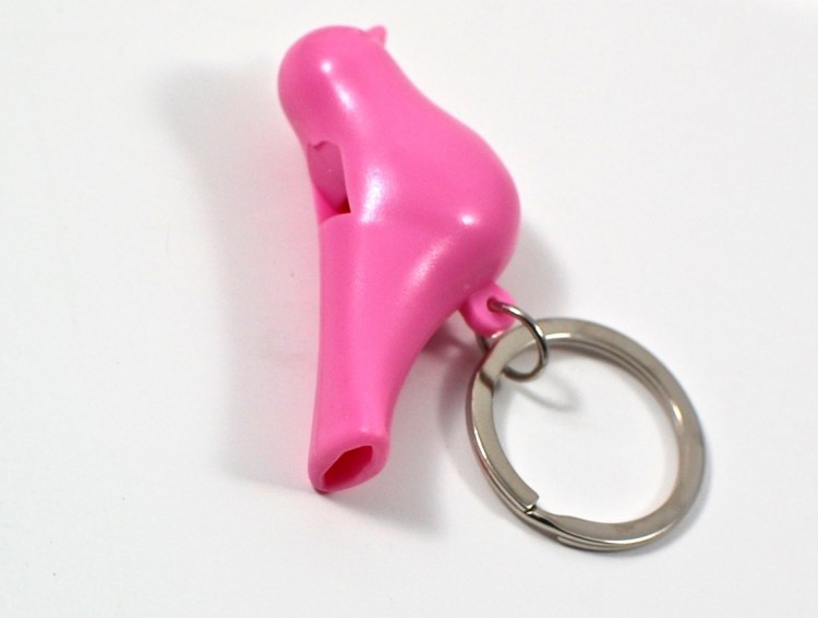 bird whistle