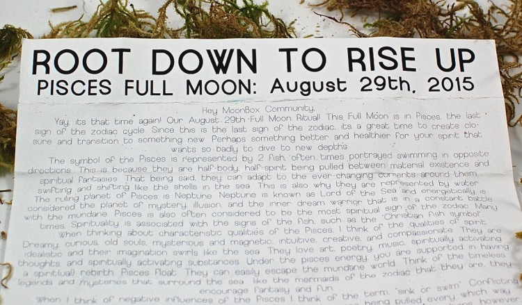 Root Down to Rise Up