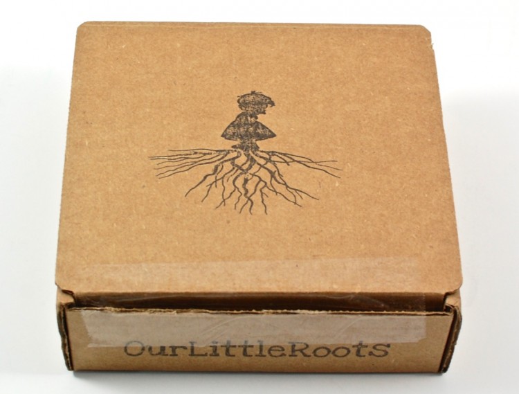 Our Little Roots box