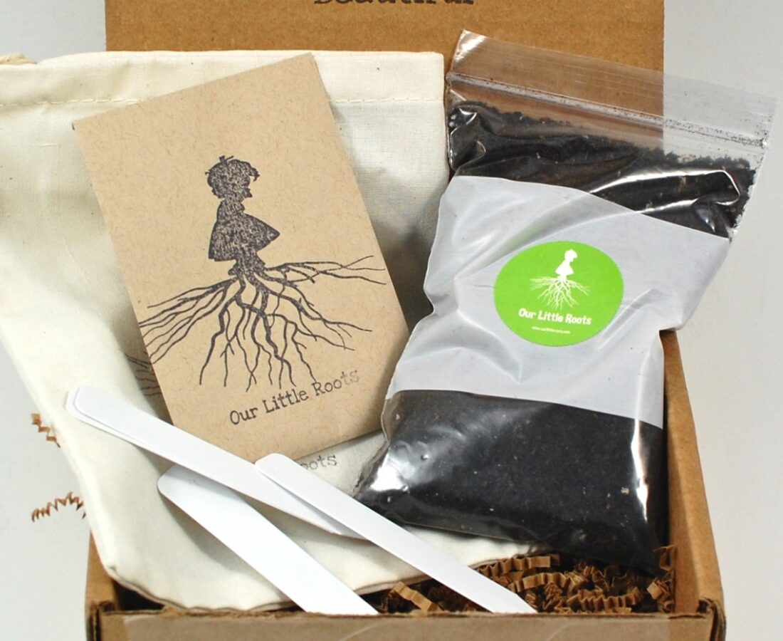 Our Little Roots September 2015