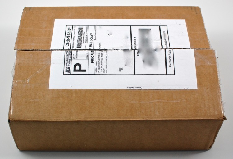 PitterPat Packages box