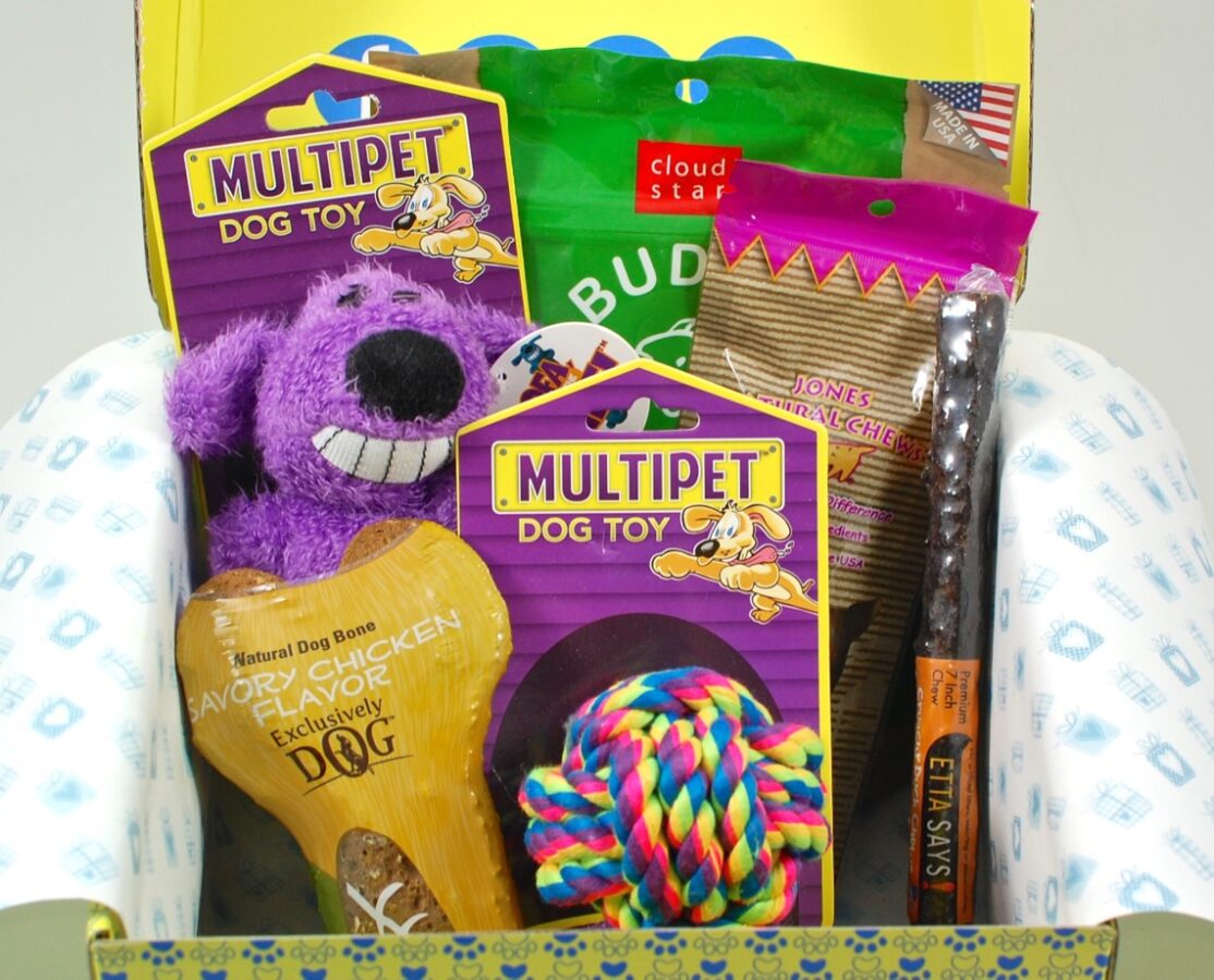 September 2015 Surprise My Pet