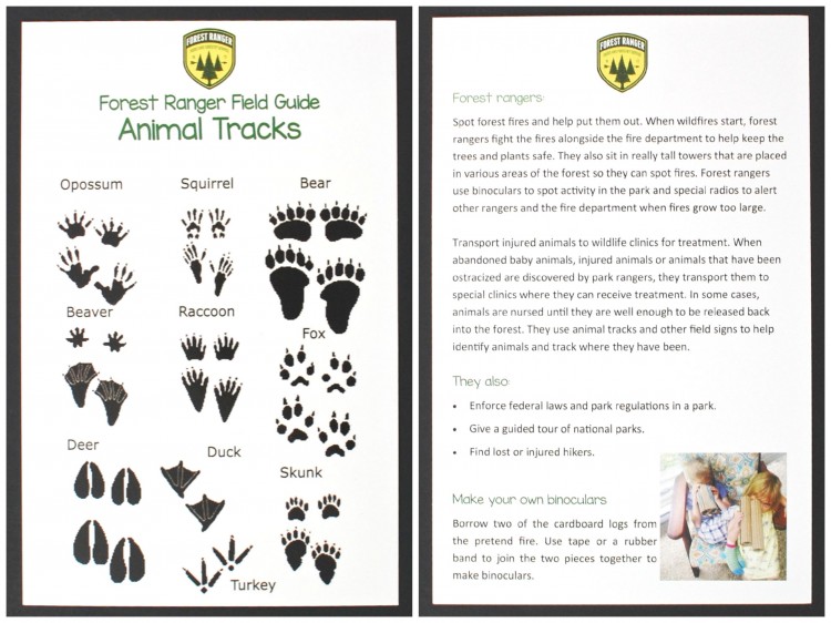 animal tracks