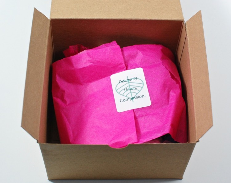 Buddhibox