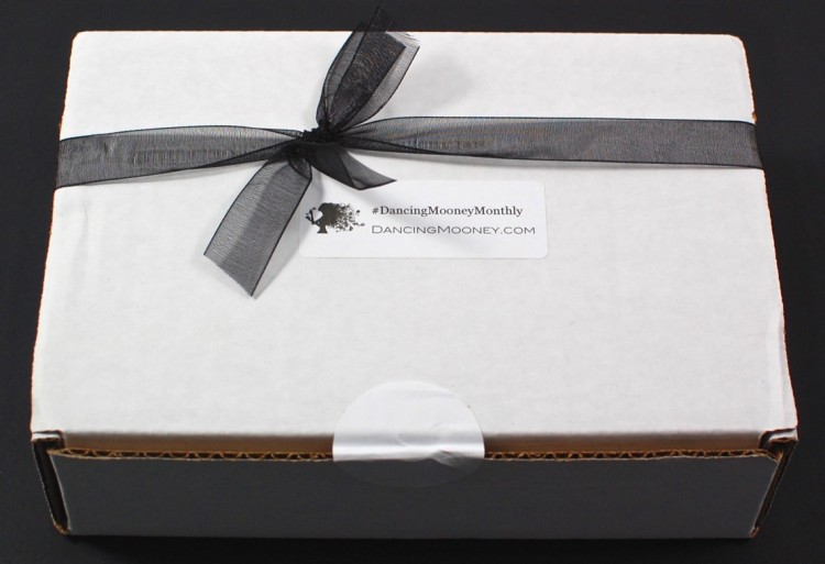 DancingMooney Monthly box