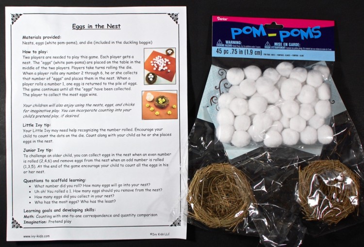 eggs in the nest