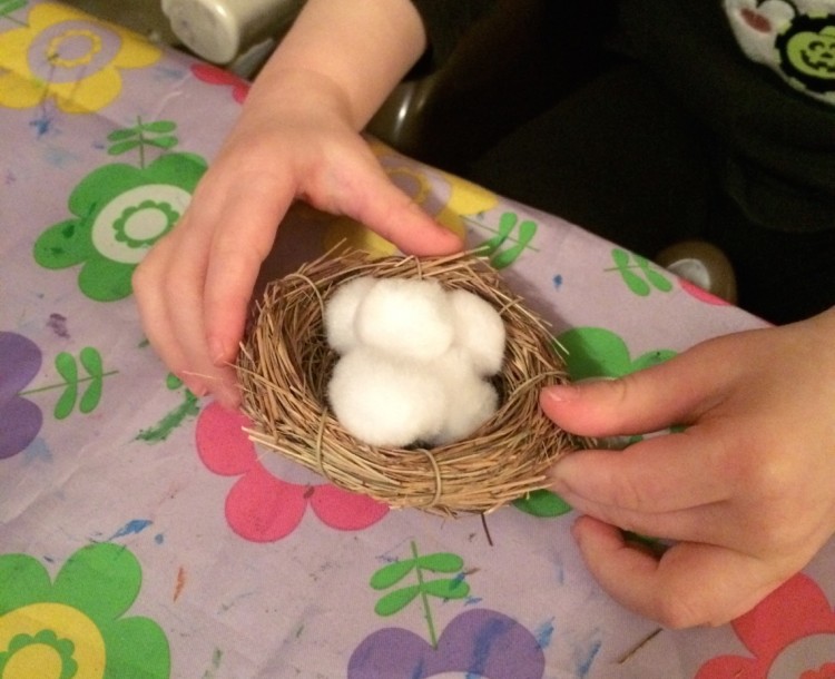 eggs