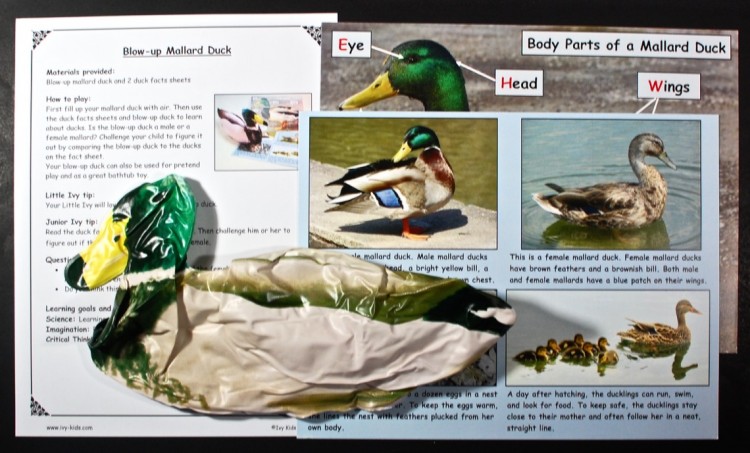 blow up mallard duck
