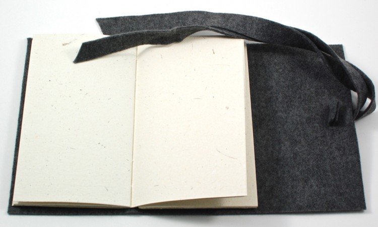 Pumeli journal