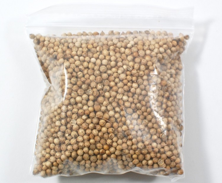 coriander