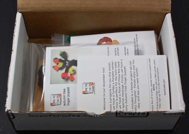 November Box of Crafts