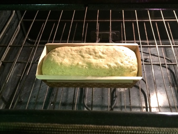 cake in oven
