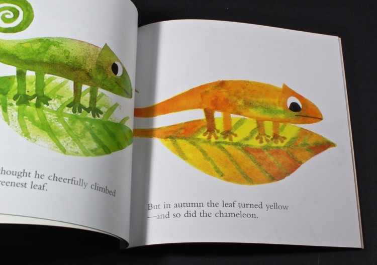 A color of his own book